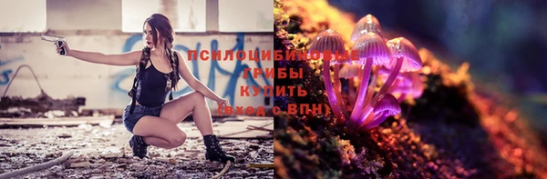 стафф Белоозёрский
