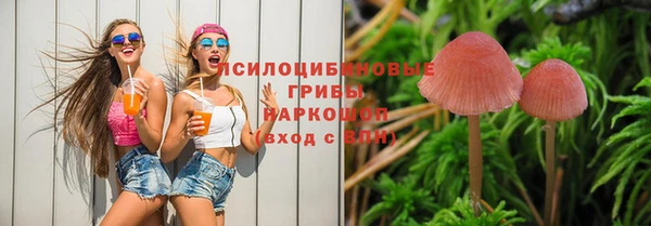спайс Богданович