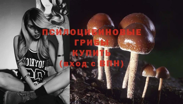 стафф Белоозёрский