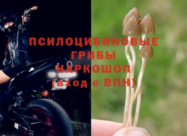 гашиш Беломорск