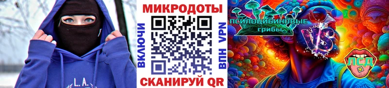Псилоцибиновые грибы Psilocybe Боровичи